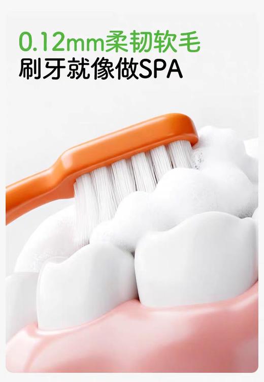 兔头妈妈儿童萌粒宽头高密牙刷-尼克/朱迪款/TTMM-403773/TTMM-403780 商品图3