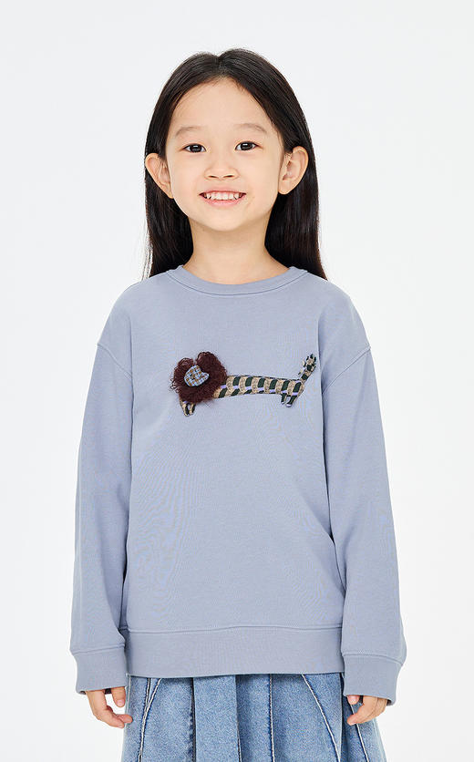 jnby  26年春款  套头卫衣  1Q2411750 商品图3