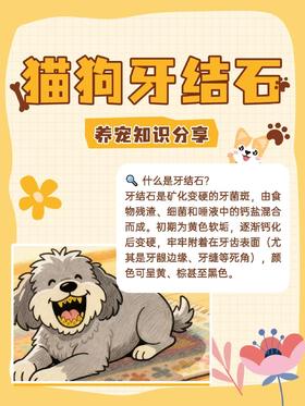 牙结石不是小事！它正在悄悄拖垮你家毛孩子的身体