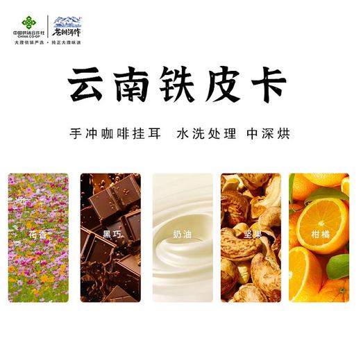 铁皮卡挂耳10g*10袋 商品图1