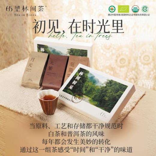 林间初见 | 有机茶多风味体验盒（红茶&时光） 商品图5