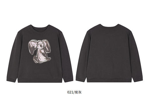 jnby  26年春款  套头卫衣  1Q2410120 商品图10