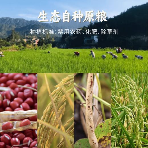 香畴生态杂粮礼盒 | 3.88kg/盒（含8包）自然农法种植五谷 石板大米 小米 紫糯米 芸豆等 心意年货礼盒 谦益农业 商品图2