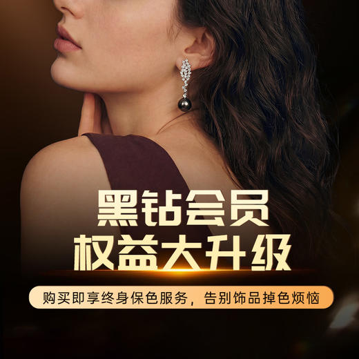 黑钻会员，一次升级，终身保色 商品图0