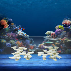 120缸块状烧制款造景