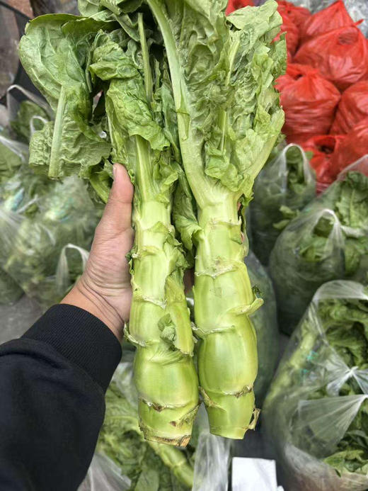 大凉山露天红根菠菜，莴笋，萝卜 商品图3