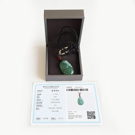 【天然正品】A货翡翠天然细腻冰种青葫瑞貅造型（福禄平安、招财纳福）翡翠吊坠项链060126NJM03 商品图1