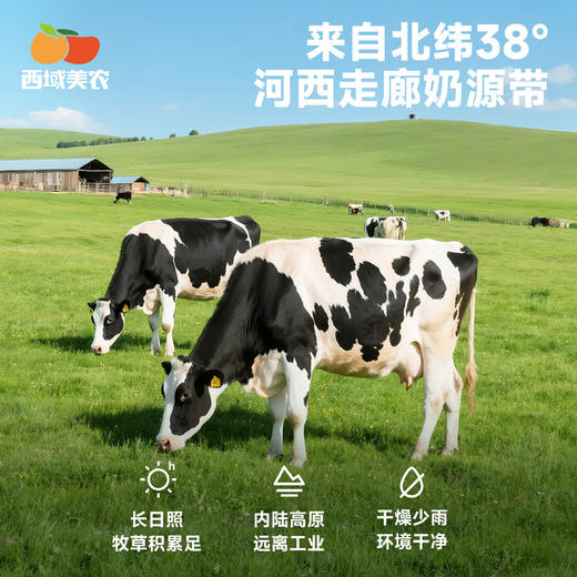 西域美农 脱脂牛奶  4.0g蛋白 130mg钙 0脂的黄金组合  200ml*10盒/箱  普通快递发货 商品图4