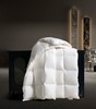 卡夫曼鹅绒被，白鹅绒，带给你舒适的睡眠 商品缩略图7