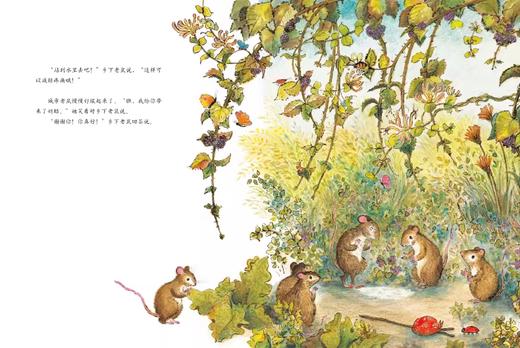 【点读版】贝妮黛·华兹经典童话绘本：城市老鼠和乡下老鼠（平） 商品图3