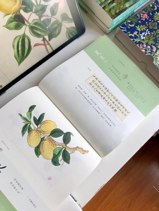 《中国本草图谱》听“本草”独白，品人间清欢 商品图3