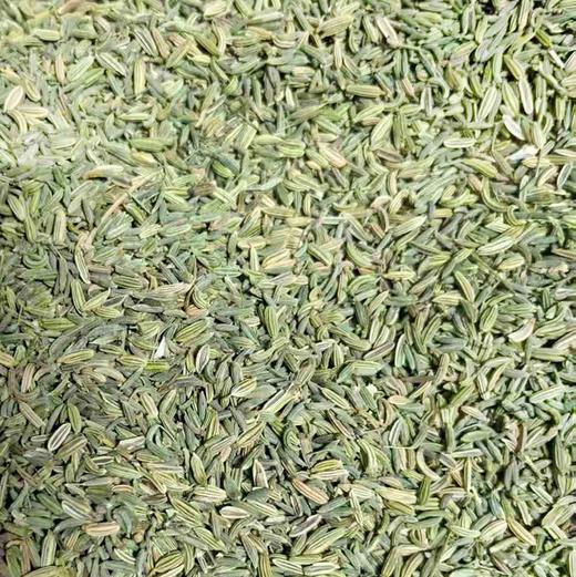 茴香(100±10g) 商品图0