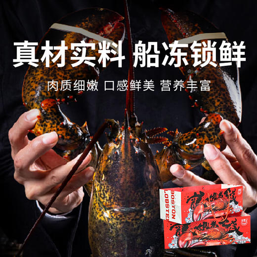 【渔礼记波士顿龙虾】深海洁净船捕速冻 锁住鲜美 餐桌畅享龙虾大餐 商品图0