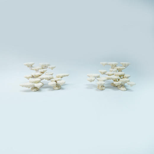 120缸块状烧制款造景 商品图1