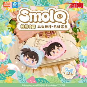 柯南熊熊侦探篇毛绒盲盒-纪念日百货门店同款168246434