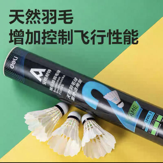 安格耐特F2202S羽毛球/12支装 商品图1