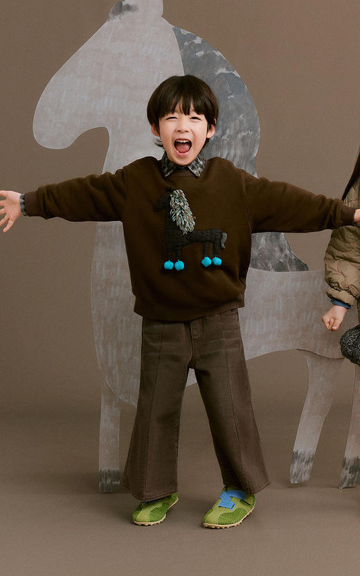 jnby  26年春款  套头卫衣 1Q2410870 商品图0