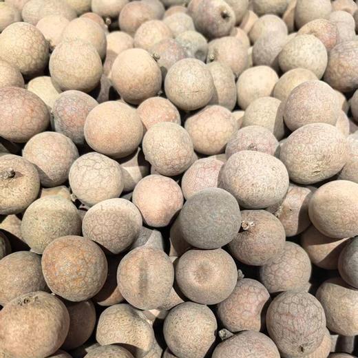 双A桂圆干（500±20g） 商品图0