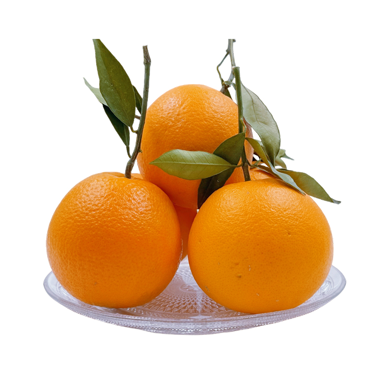 重庆奉节脐橙特产新鲜水果70-75mm