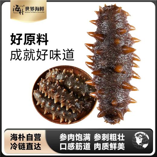 即食海参500g（8-10头）*1袋K 商品图0