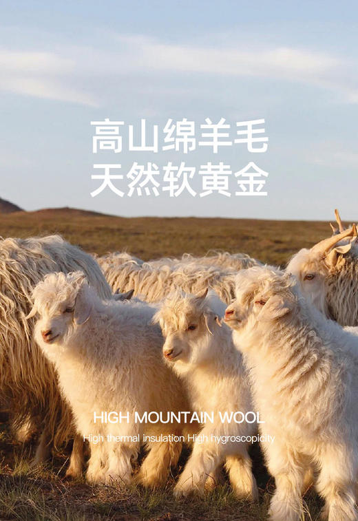 【百图lulu定制】【羊毛牛仔裤】内夹  羊毛 天然“软黄金”   保暖 显瘦 有垂感 仿牛仔裤 商品图4