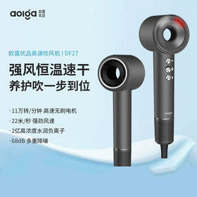 Aolga 欧嘉优品高速吹风机家用速干负离子护发星级酒店同款DF27