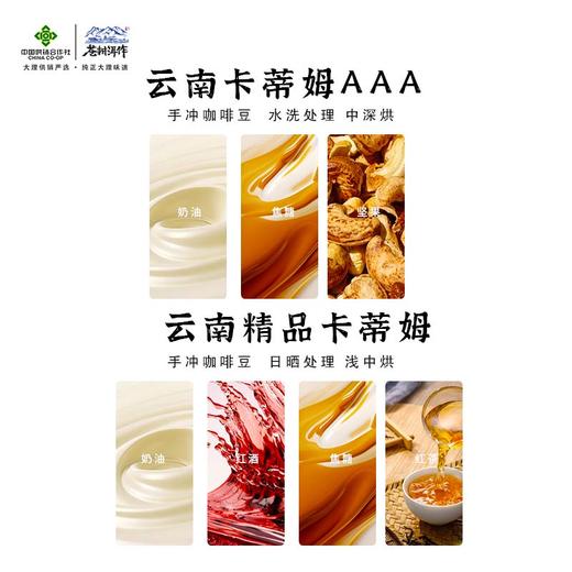 卡蒂姆AAA水洗精品咖啡豆227g 商品图6