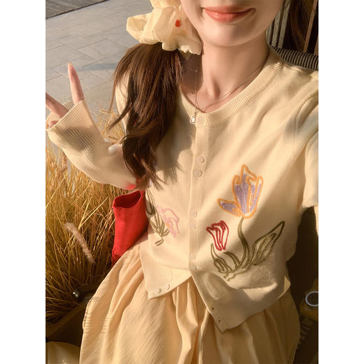 <曾小咸推荐>4.3现货秒杀 ！微信超特价！韩系绣花针织衫 日常219.99 立减130 秒杀89.99！！ 商品图1