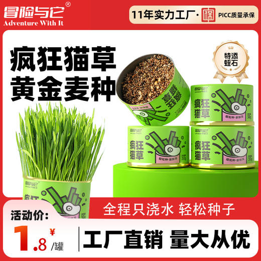 冒险与它猫草罐30g懒人猫草种植罐猫咪零食大麦苗化毛球猫猫零食 商品图0