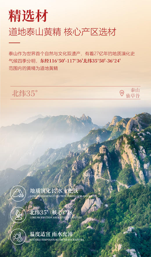 泰山黄精片茶5克*48袋【2026新春好品】 商品图5