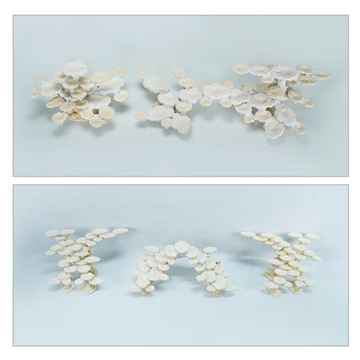 200缸块状烧制款造景 商品图4