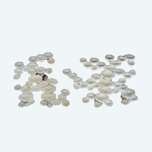 150缸块状烧制款造景 商品图4