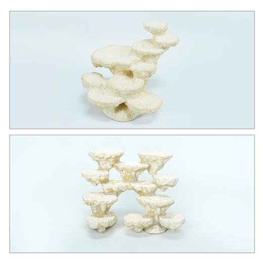 50缸块状烧制款造景 商品图2