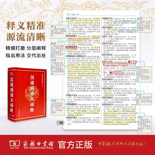 汉语成语大词典 商品图2