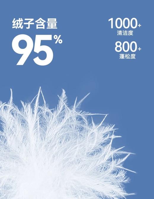 正品保真西伯利亚进口飞天95白鹅绒泡芙三防鹅绒服 商品图7