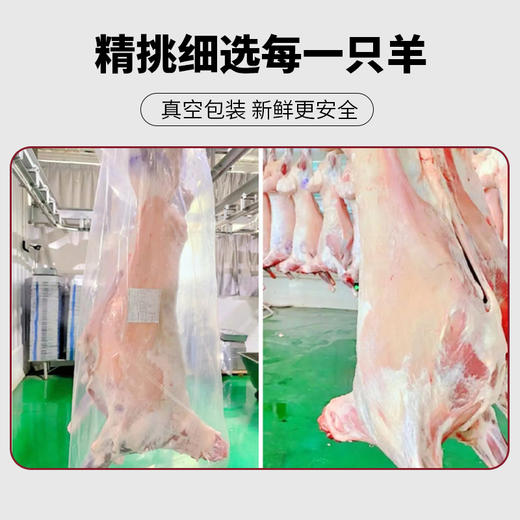 巴什拜羔羊3公斤黑金礼盒 商品图4