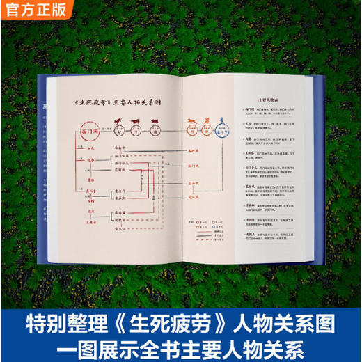 生死疲劳 商品图0