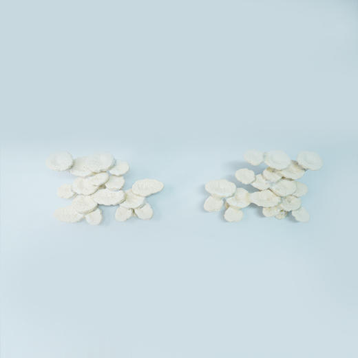 120缸块状烧制款造景 商品图4