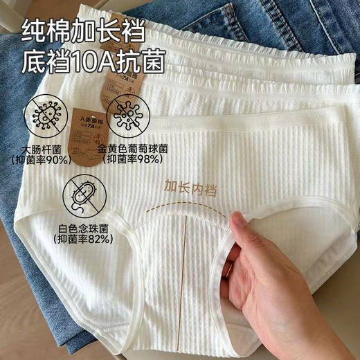 0染色全棉抗菌内裤（原棉） 商品图2