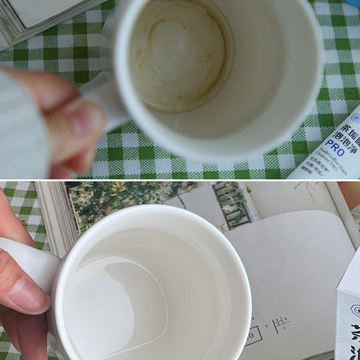 【净狮系列】去渍笔/茶杯泡泡净/马桶清洁磨盒/衣领净/空调清洗剂 商品图5