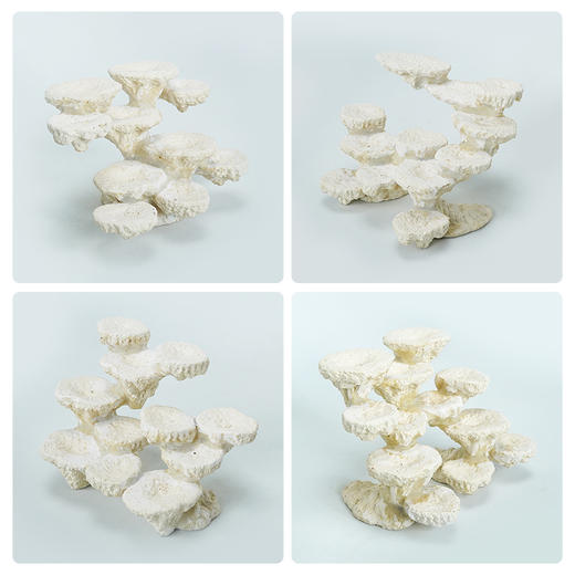 50缸块状烧制款造景 商品图3