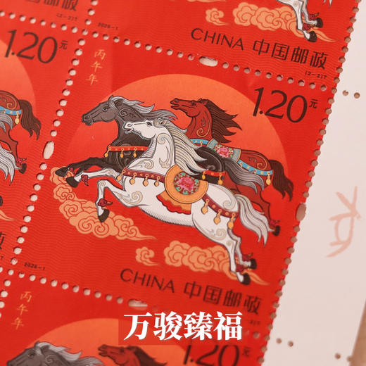 【买赠！】金马送福 马年生肖邮票 大版票/小版票套装，邮政发行、真品保证，宜收藏宜送礼，恭贺2026马到福来！（赠小全张、贺卡、邮资封） 商品图3