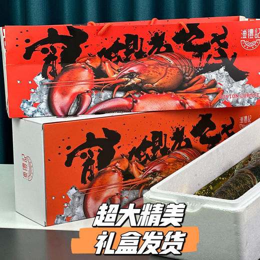 【渔礼记波士顿龙虾】深海洁净船捕速冻 锁住鲜美 餐桌畅享龙虾大餐 商品图5