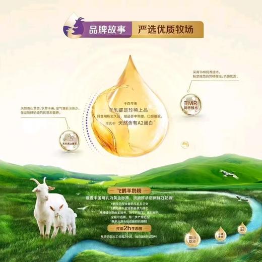 飞鹤小羊妙可较大婴儿配方奶粉（6-12月龄，2段）700g*6罐 商品图2