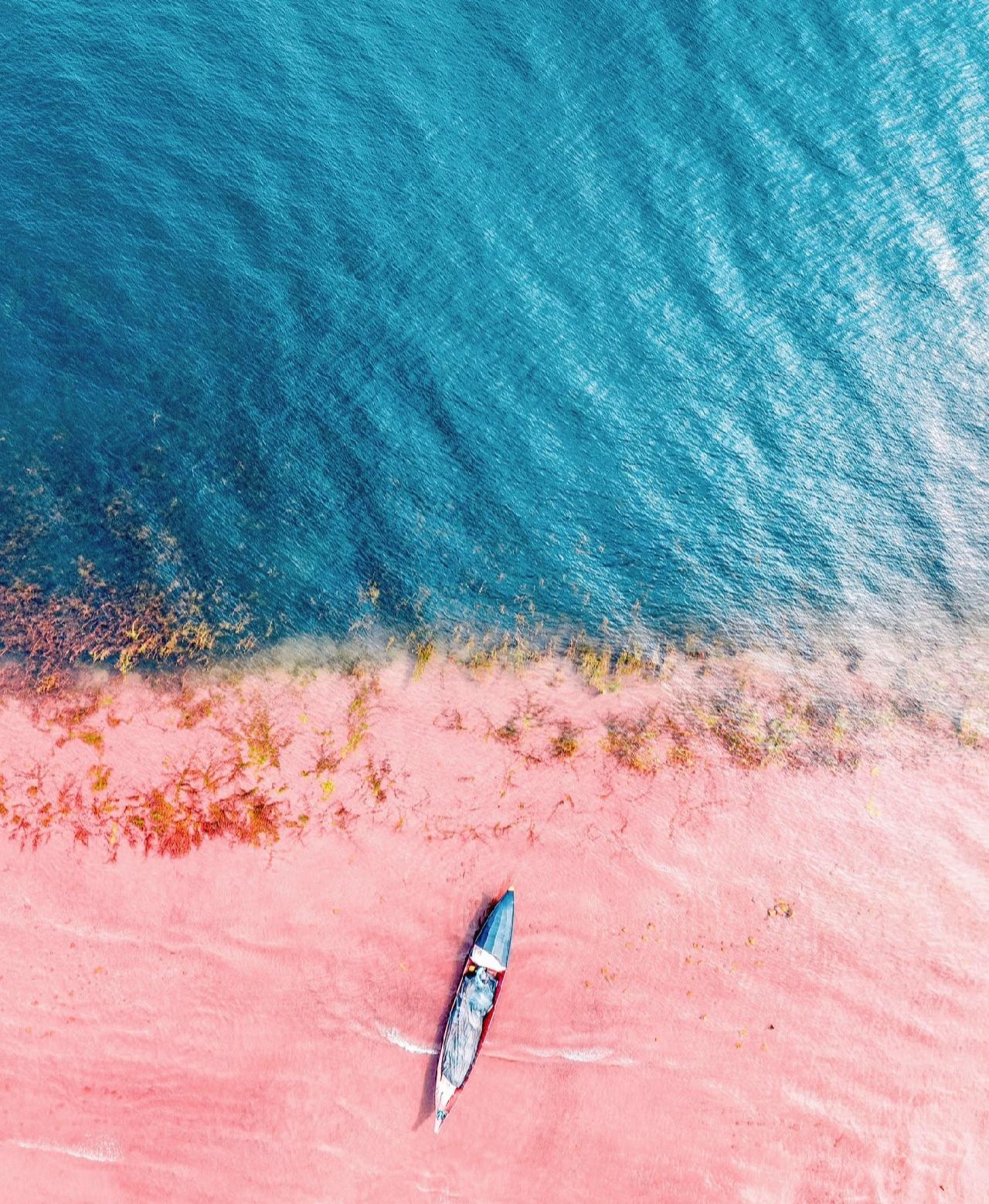 【读本研学】暖冬南迁！抚仙湖4天3晚亲子研学营：帆船逐浪、对话5亿年生命