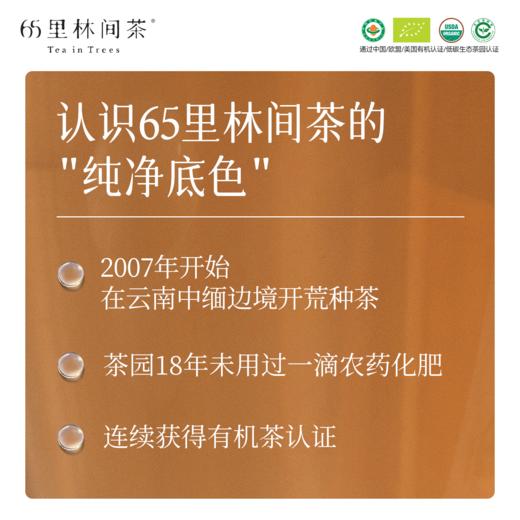 林间初见 | 有机茶多风味体验盒（红茶&时光） 商品图7