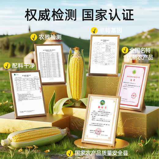 当季采摘 河套平原孕育的香 | 内蒙古甜糯玉米 白糯玉米 早餐代餐 甜糯粗粮包谷 1.6kg/袋家庭装 商品图1