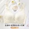 雅黛俪大胸显小显瘦女士文胸轻薄透气性感蕾丝全罩杯内衣胸罩 商品缩略图1