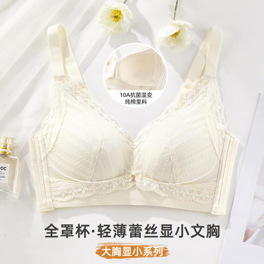 雅黛俪大胸显小显瘦女士文胸轻薄透气性感蕾丝全罩杯内衣胸罩 商品图1