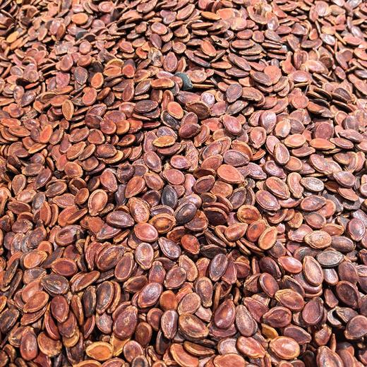 红瓜子（甘草味）（300±20g) 商品图0